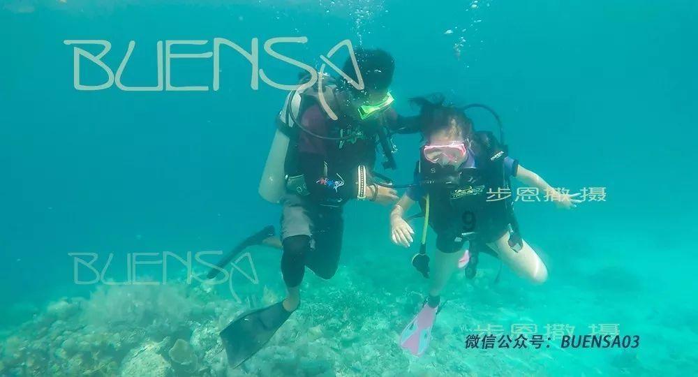 探索空调压缩机的详细种类主题的全新红迪网平台